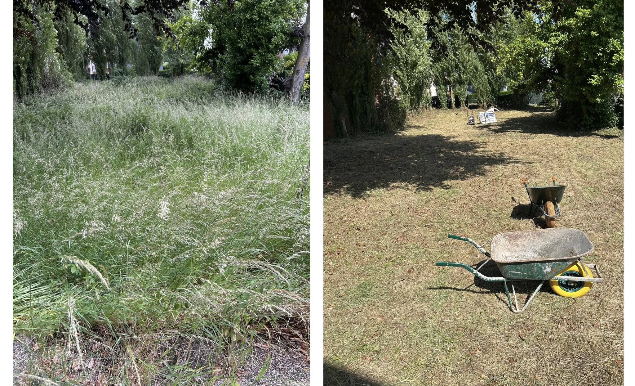 Photo de l'élément